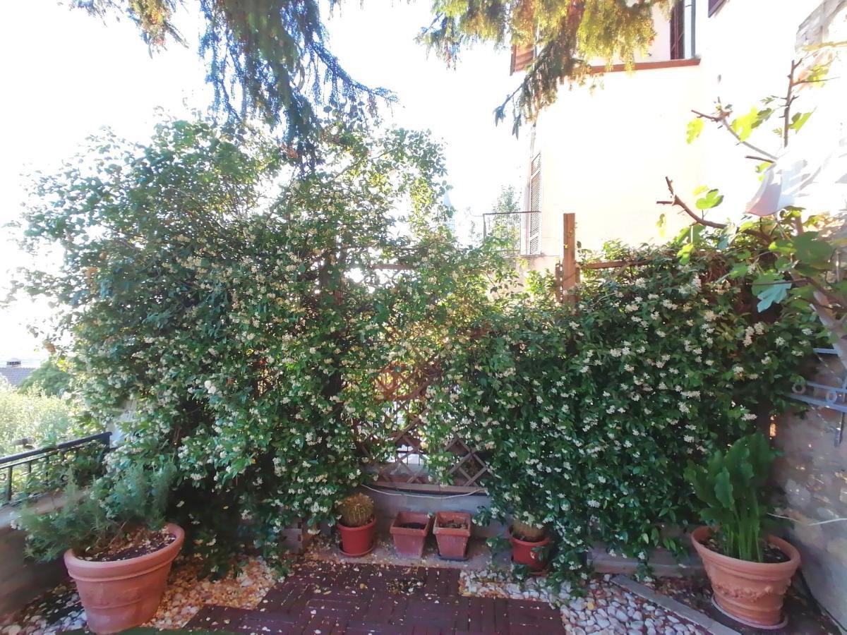 Assisi Garden Suite ภายนอก รูปภาพ